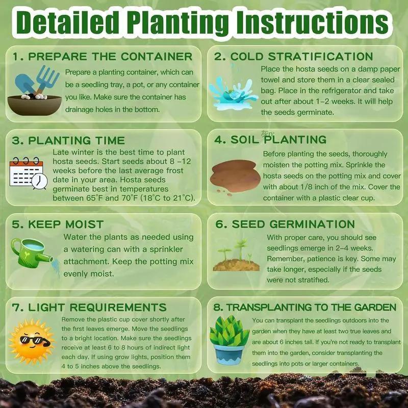 🔥🌌 glow-in-the-dark garden magic: rare dark blue flame hostas seeds ❤ buy 1 get 1 free ❤