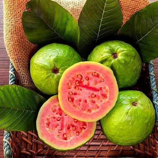 🎁Last Day Promotion 49% OFF🔥🌱Strawberry Guava Seeds🍐