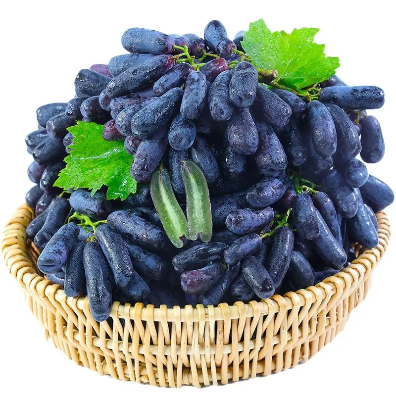 🔥last day 50% off 🍇 high-quaility sapphire grapes seeds🍇✨ 98% germination（high yield）100 grams organic pot mix free