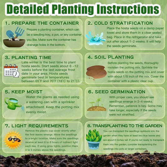 🔥Hot Sale 50% Off🌈Frosted Pearl Hosta Seeds🌈🔥 BUY 1 GET 1 FREE! 🔥