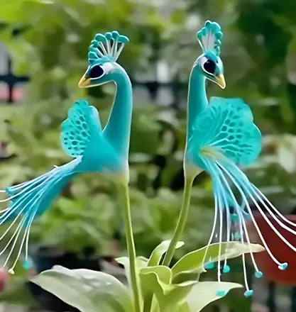 🦚🦚 Peacock Flower Bulbs — Plant hope, watch splendor bloom!🌸🌸 + 100 grams Organic Pot mix Free