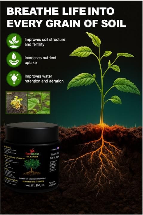 🔥seasonal promotion🔥-soil pro activator 🌿 100 gm [ pack of 1 ] 🌿