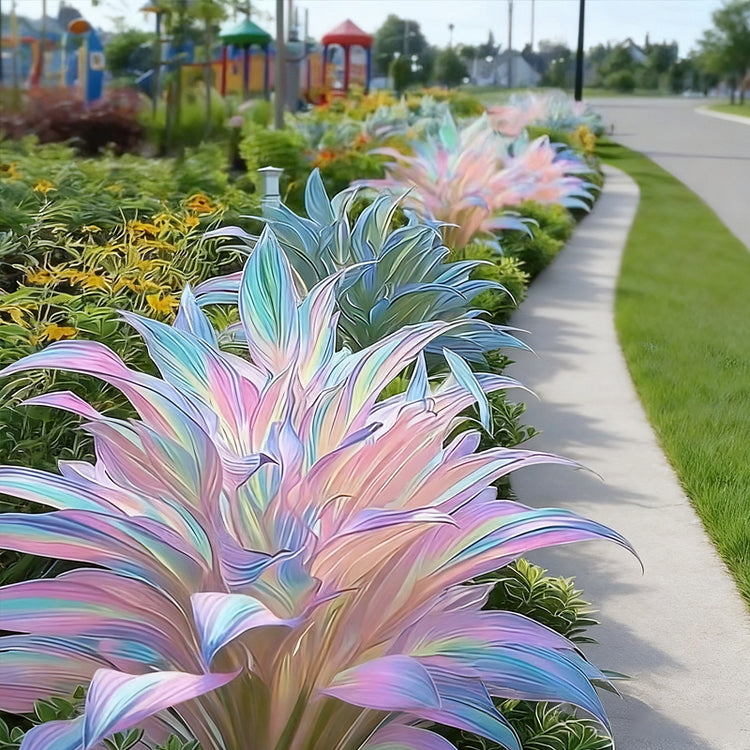 🔥hot sale 50% off🌈frosted pearl hosta seeds🌈🔥 buy 1 get 1 free! 🔥