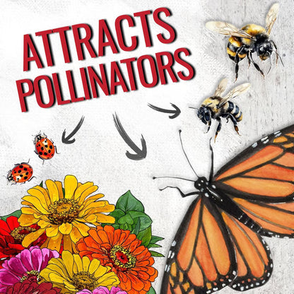 🌺Double Zinnia Mixed Color Seeds🌺🌸Easy-Grow Heirloom Blooms for Your Garden🌸🔥Buy 1 Get 1 Free🔥