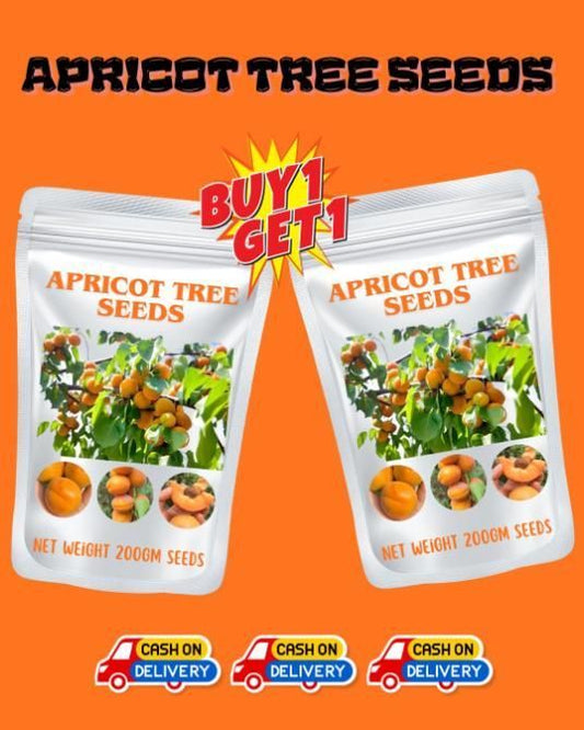 High Yielding, Easy-to-Vitalize Apricot Tree Seeds ??BUY 1 GET 1 FREE! ?