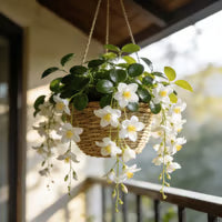 🌸Winter-Friendly Hanging Jasmine—Dreamy Indoor Flower🌿❄️100 Grams Organic Pot Mix Free