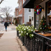 🌸Winter-Friendly Hanging Jasmine—Dreamy Indoor Flower🌿❄️100 Grams Organic Pot Mix Free