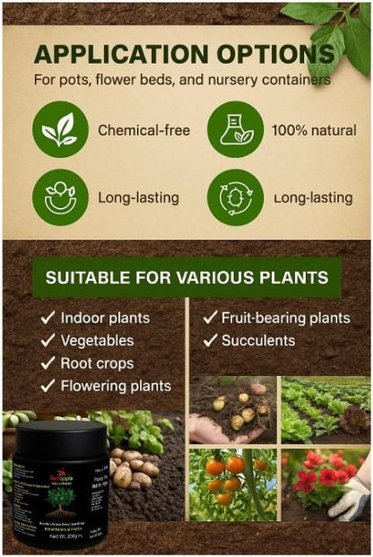 🔥Seasonal Promotion🔥-Soil Pro Activator 🌿 100 gm [ Pack of 1 ] 🌿