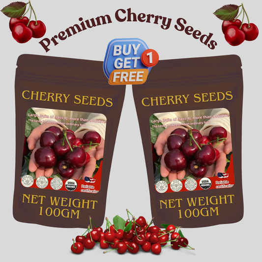 ✨Top Grade & Productive – Chilean Cherry Seeds Direct from Origin🌱BUY 1 GET 1 FREE!  🌱