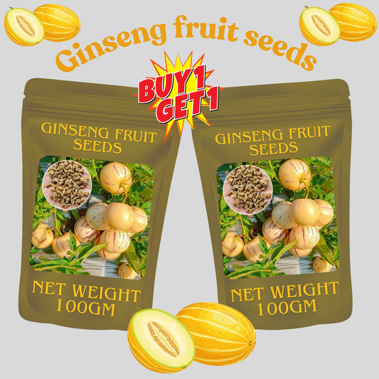 🌿✨Ginseng fruit seeds: Discover the power of nature in your garden! 🌱BUY 1 GET 1 FREE! 🌱🌿