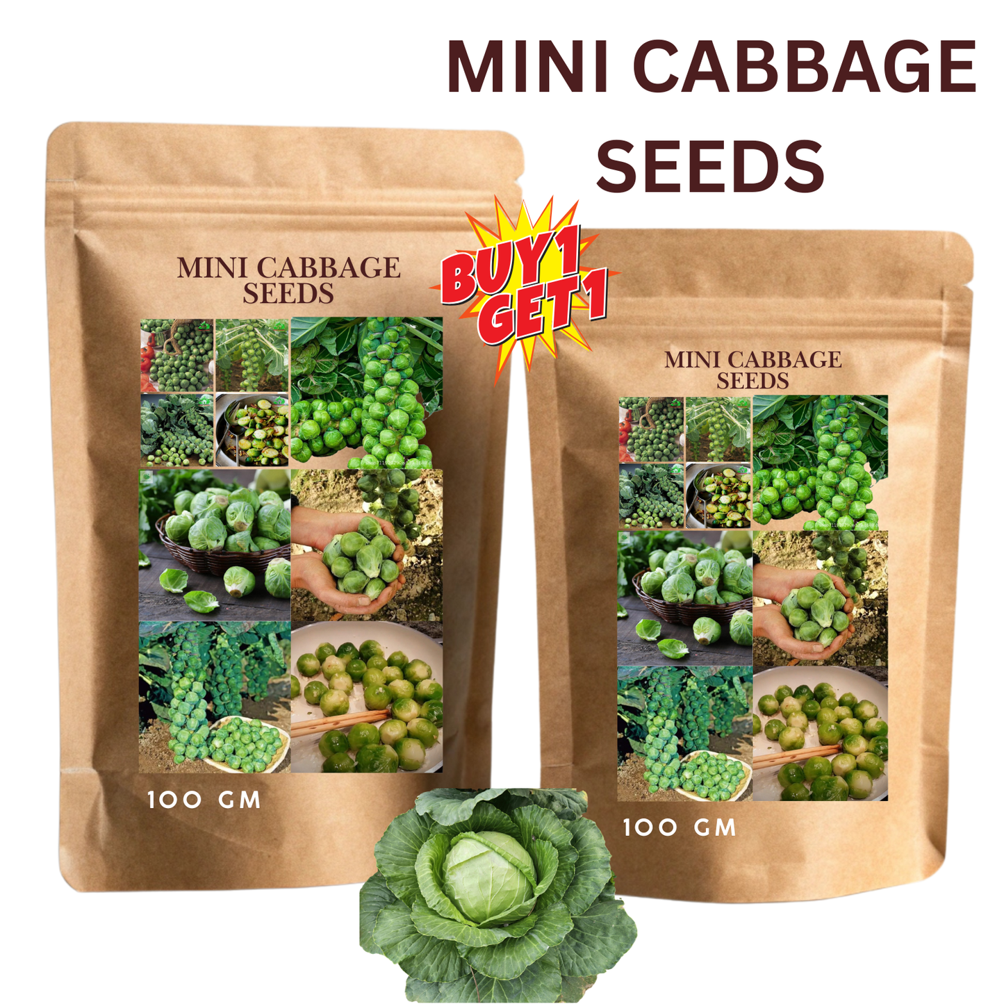 🔥mini cabbage seeds🔥🌱buy 1 get 1 free! 🌱