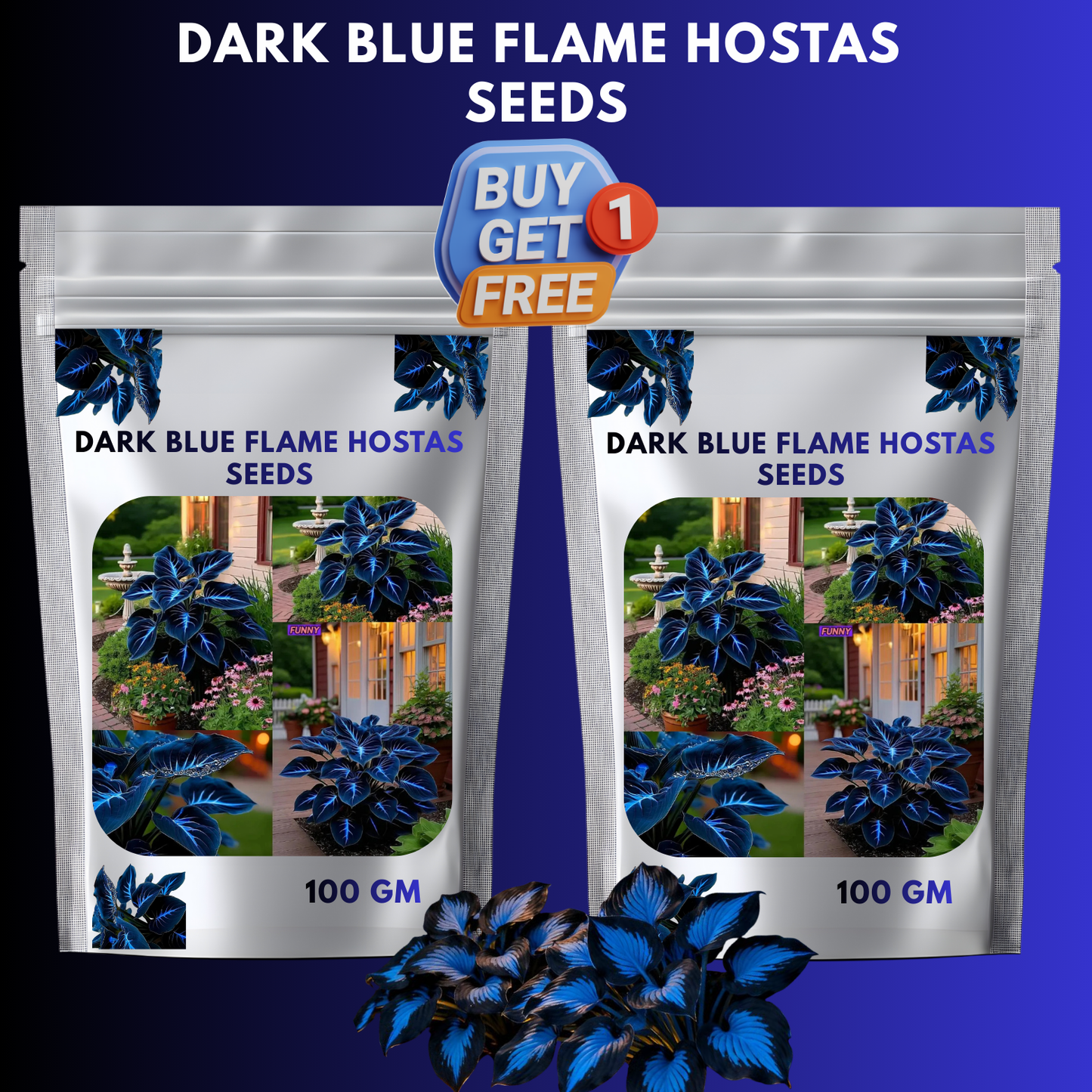 🔥🌌 glow-in-the-dark garden magic: rare dark blue flame hostas seeds ❤ buy 1 get 1 free ❤