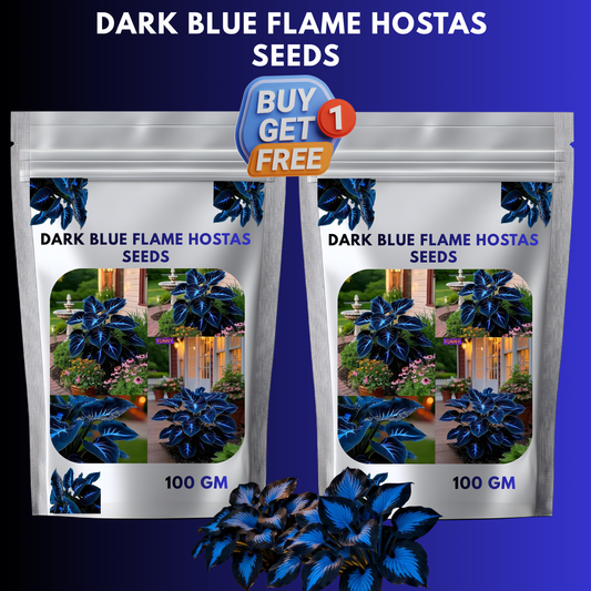 🔥🌌 Glow-in-the-Dark Garden Magic: Rare Dark Blue Flame Hostas Seeds ❤ Buy 1 Get 1 Free ❤
