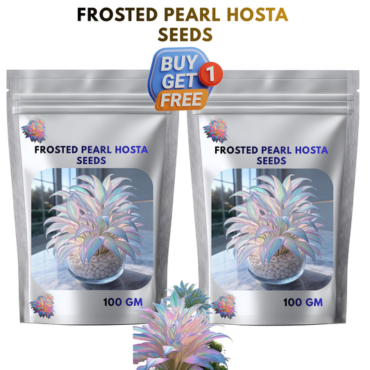 🔥Hot Sale 50% Off🌈Frosted Pearl Hosta Seeds🌈🔥 BUY 1 GET 1 FREE! 🔥