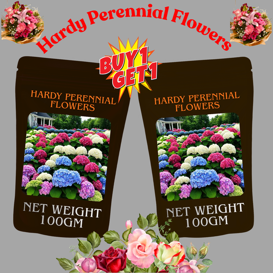 🌈Mix Hydrangea Seeds - Beautiful and Hardy Perennial Flowers for Your Garden 🌺 BUY 1 GET 1 FREE!🌺