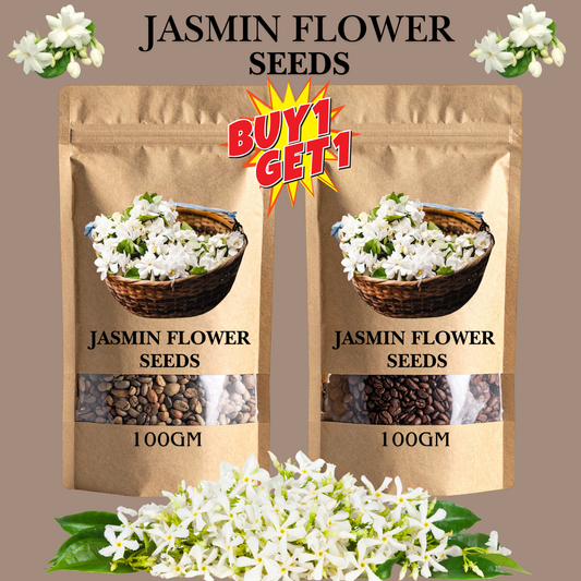 🌸Winter-Friendly Hanging Jasmine—Dreamy Indoor Flower🌿❄️100 Grams Organic Pot Mix Free