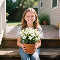 🌸Winter-Friendly Hanging Jasmine—Dreamy Indoor Flower🌿❄️100 Grams Organic Pot Mix Free